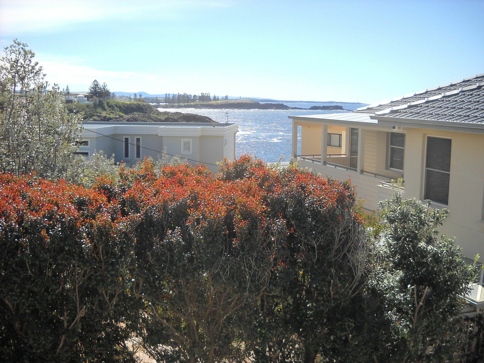 Shutters By The Sea Kiama-Sea Views-Waterfront-Private On Coastal Walk Exterior photo